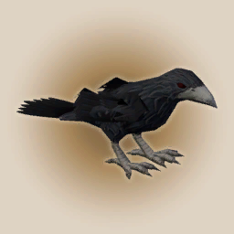 Caws and Effect